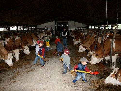 Kuhstallzeit ist Fütterungszeit