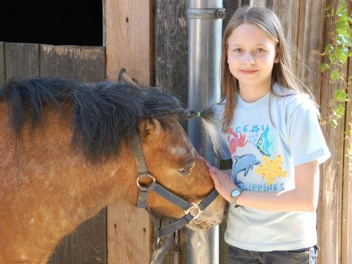 Pony Mira ist heiß begehrt Pony Mira ist heiß begehrt