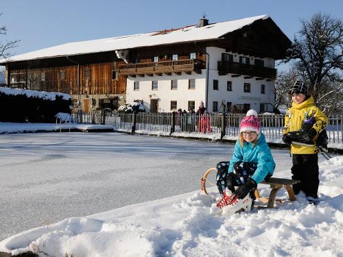 seimehofwinter2013