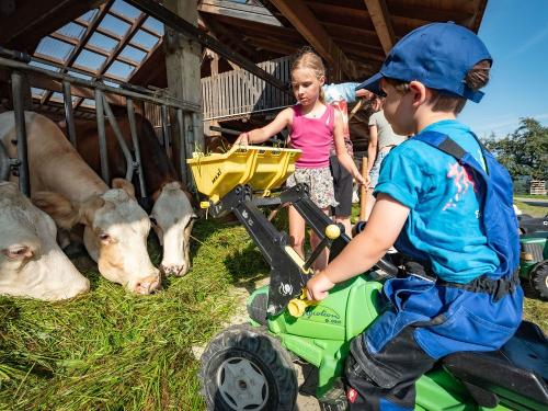 Seimehof_Wimpasing_1_Bernau_Chiemsee_Allgemein_Kinder_Tiere_Spielplatz_7