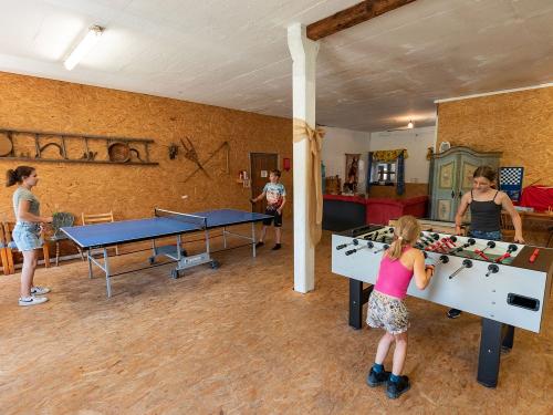 Seimehof_Wimpasing_1_Bernau_Chiemsee_Allgemein_Kinder_Tiere_Spielplatz_47