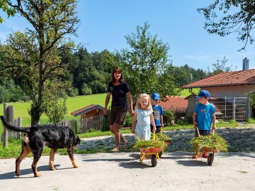 Seimehof_Wimpasing_1_Bernau_Chiemsee_Allgemein_Kinder_Tiere_Spielplatz_24