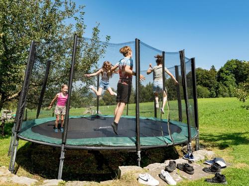 Seimehof_Wimpasing_1_Bernau_Chiemsee_Allgemein_Kinder_Tiere_Spielplatz_41