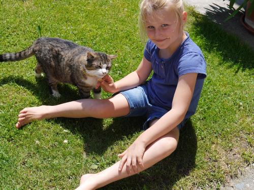 Katzenliebe