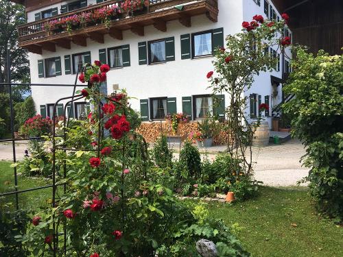 Blick aus dem Garten zum Hof