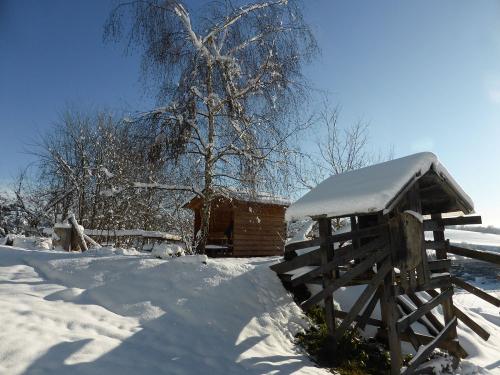 Winter am Hof