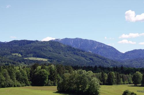 Bergblick Bartlbauer