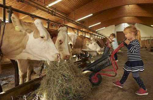 Stallarbeit