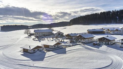 dji_0131