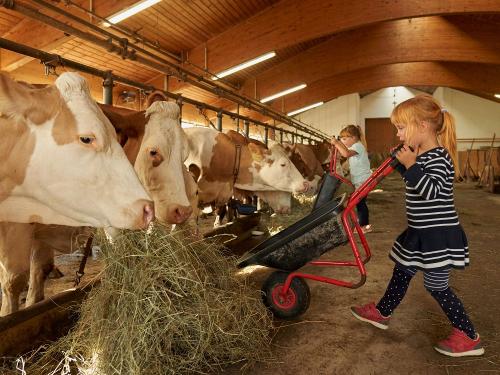 Stallarbeit
