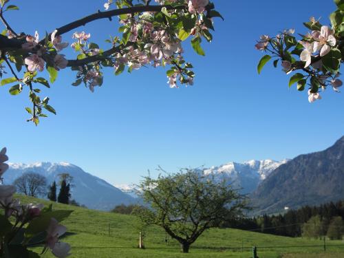 Aussicht auf die Berge im Frühling Aussicht auf die Berge im Frühling
