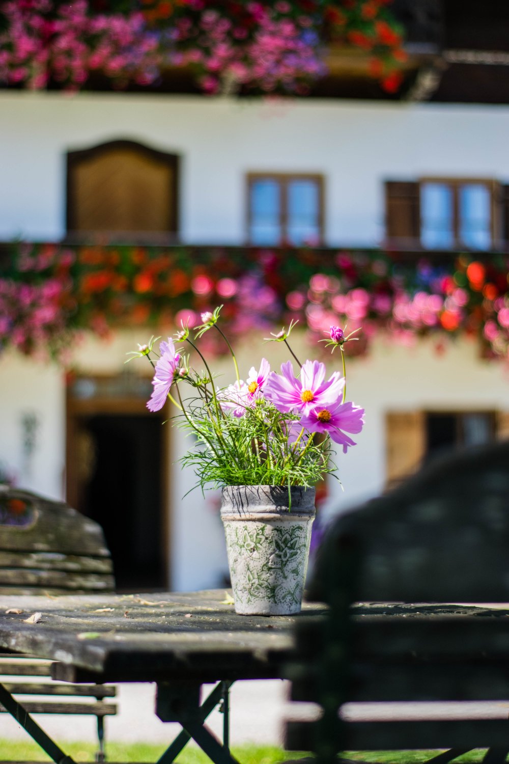 Hafnerhof