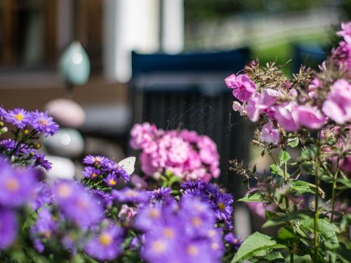 20180909-dsc_0013 20180909-dsc_0013