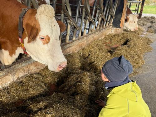 470ed58f-8449-40ff-bbf4-c2dc9a3b65d9 470ed58f-8449-40ff-bbf4-c2dc9a3b65d9