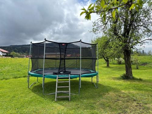 Trampolin