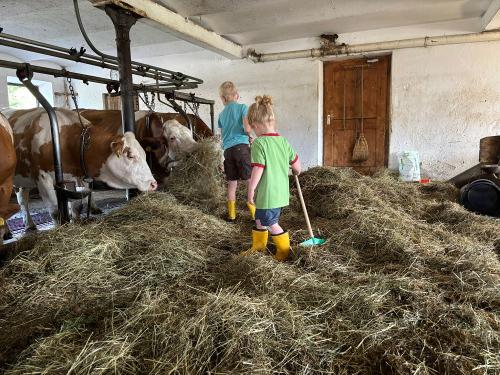 Bei der Stallarbeit