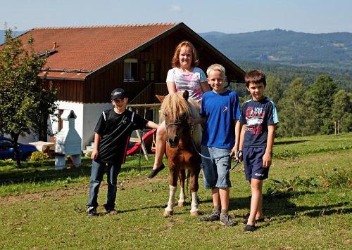 mit Ponys unterwegs