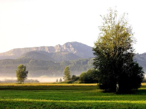 Ausblick