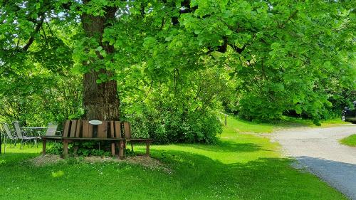 unter der Linde