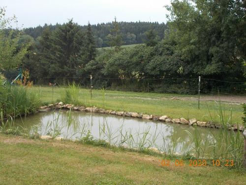 In dem kleinen Teich dürfen die kleinen das Angeln ausprobieren
