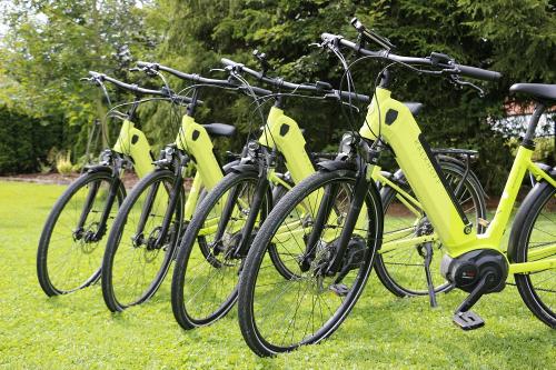 E-Bike Verleih (gegen Gebühr)