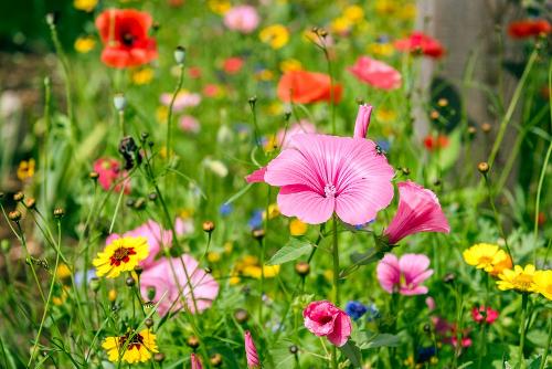 web_hussnhof_0819-1478
