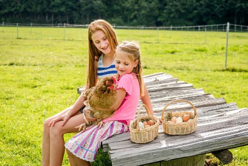web_hussnhof_0819-2075