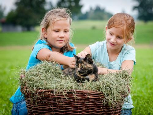 Hussnhof Farm Lodge - Tiere streicheln im Heu Hussnhof Farm Lodge - Tiere streicheln im Heu