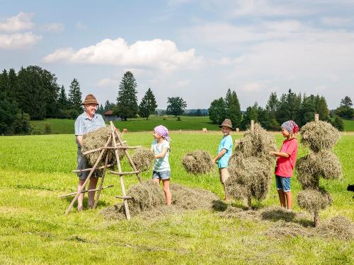 Hussnhof Farm Lodge- Erlebnisse auf dem Bauernhof Hussnhof Farm Lodge- Erlebnisse auf dem Bauernhof