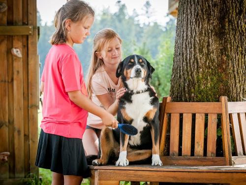 Hussnhof Farm Lodge Tierpatenschaften im Familienurlaub Hussnhof Farm Lodge Tierpatenschaften im Familienurlaub