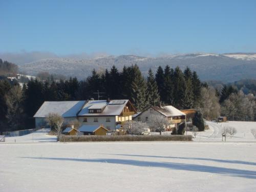 ...immer noch Winter in Loiblau