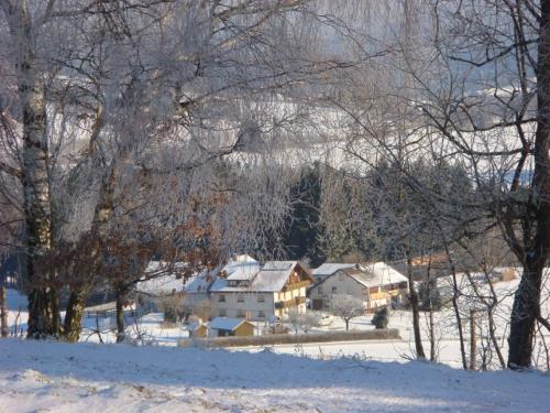 Winter in Loiblau