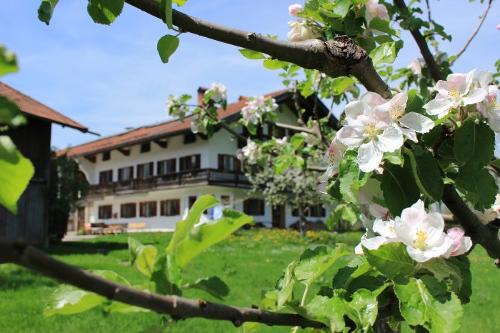 Frühling beim Krug