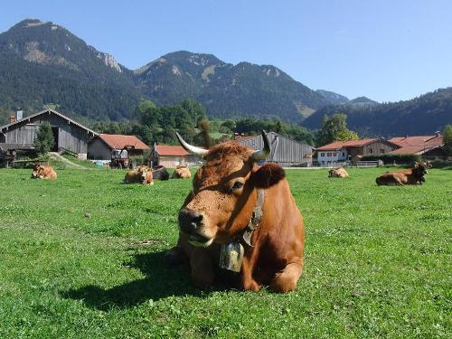 Bergblick