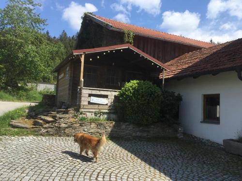 Grillhütte