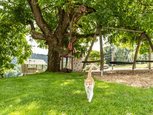 Spielplatz Nestschauckel