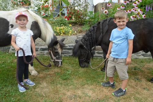 Ponys "Blacky und Schneewittchen"