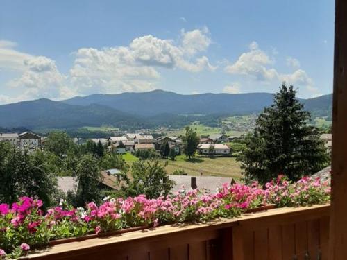 Ausblick von Wohnung 2 und 3