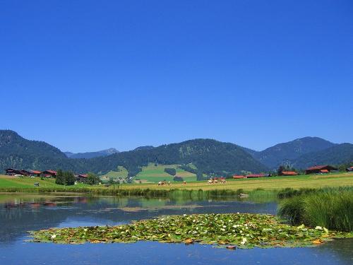 sommer-khe-heuchnerlack