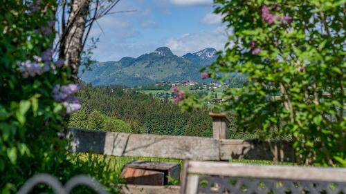 demelhof_web_garten-2