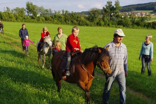Ponyreiten