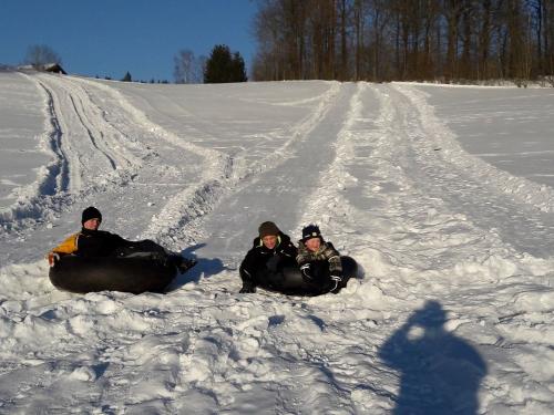Schlittenfahren am Hof Schlittenfahren am Hof