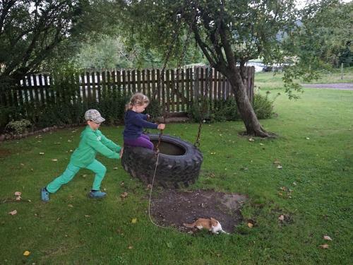 Reifenschaukel Reifenschaukel