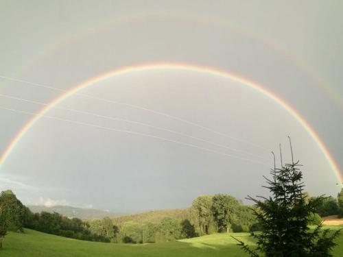 Blick vom Ferienhaus aus Blick vom Ferienhaus aus
