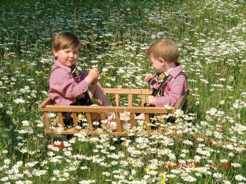 Im Blumenmeer
