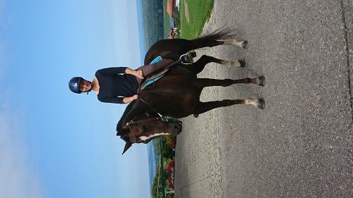 Unsere Stute Horacia