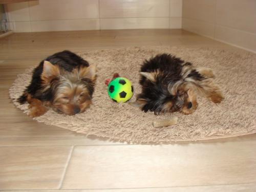 Emmi und Mia