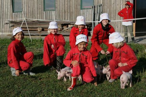 schweineftterung