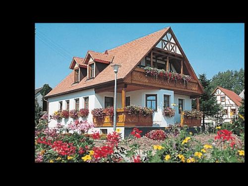 ger00020062485978471_sized_800_01