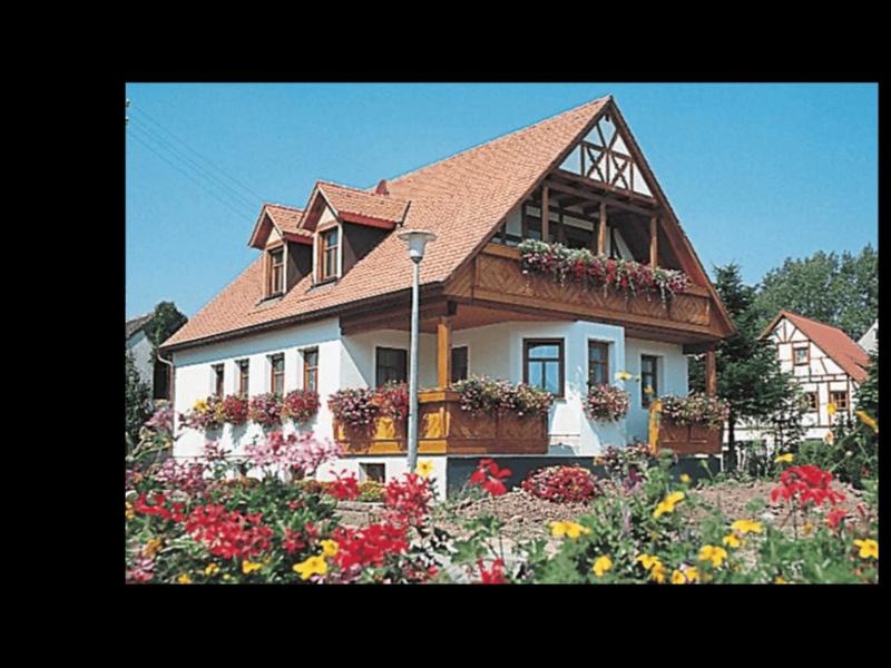 ger00020062485978471_sized_800_01